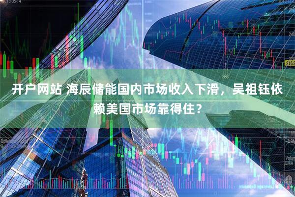 开户网站 海辰储能国内市场收入下滑，吴祖钰依赖美国市场靠得住？