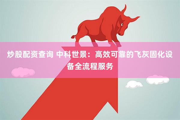 炒股配资查询 中科世景：高效可靠的飞灰固化设备全流程服务