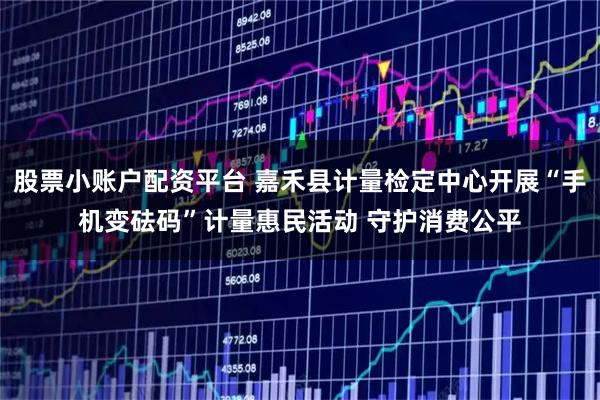 股票小账户配资平台 嘉禾县计量检定中心开展“手机变砝码”计量惠民活动 守护消费公平